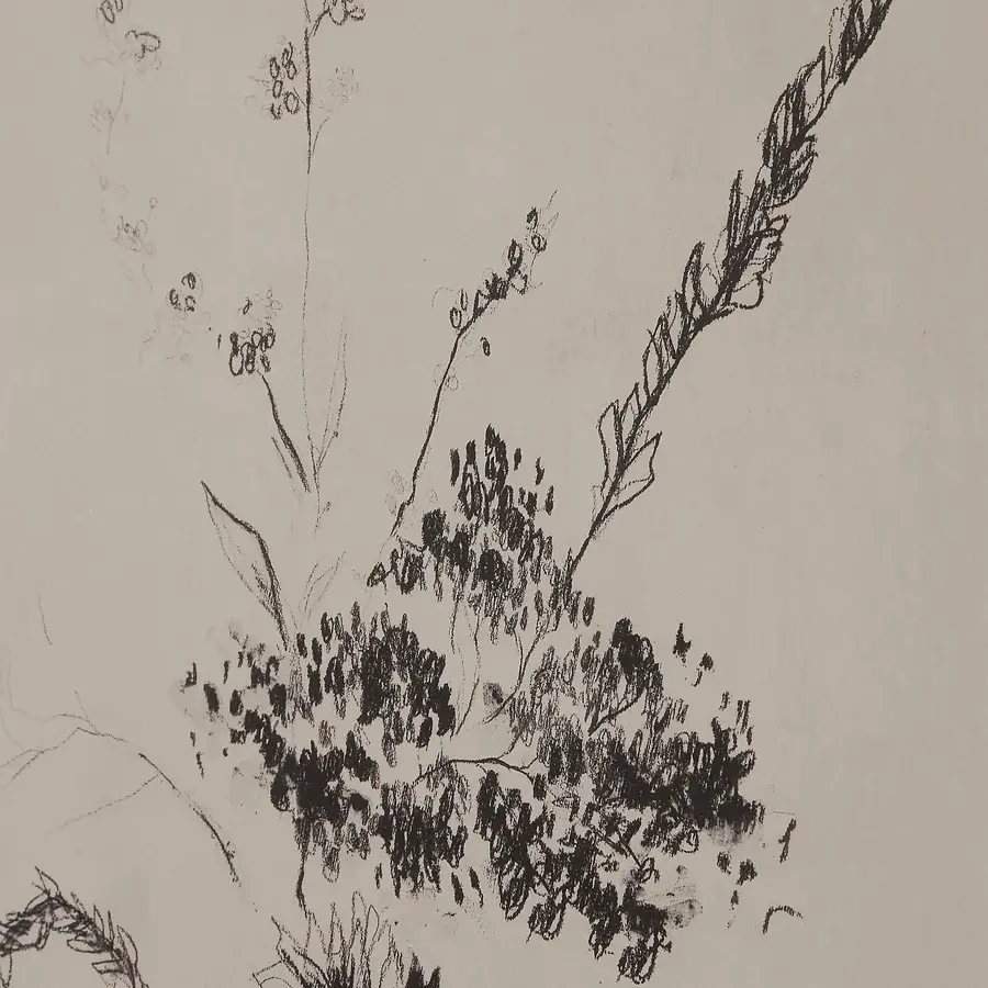 Miniature : Adeline