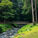 area in a forest with a bridge over a stream with the bridge in the foreground.jpg