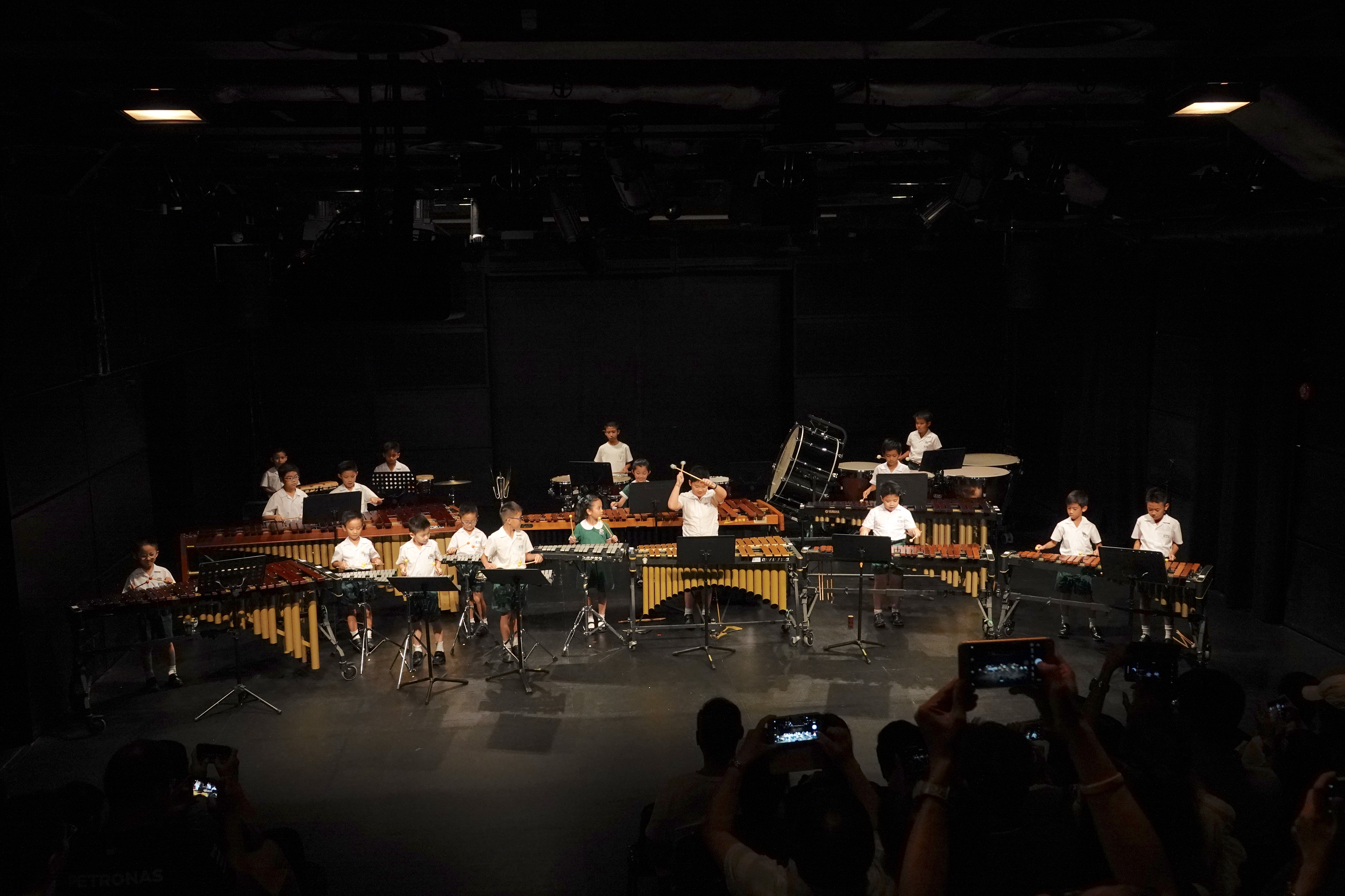 About TOOLBOX PERCUSSION