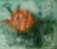 among_the_among_the_brookside_rushes_(collagraph)_trish_roberts.jpg