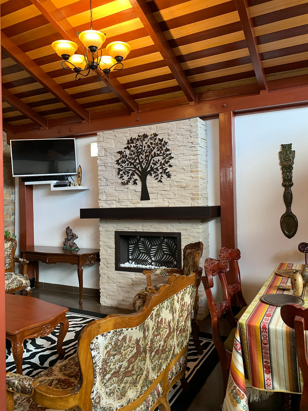 Miniatura: Chimenea Estilo Rústico