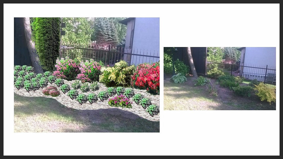 Wizualizacja nasadzeń