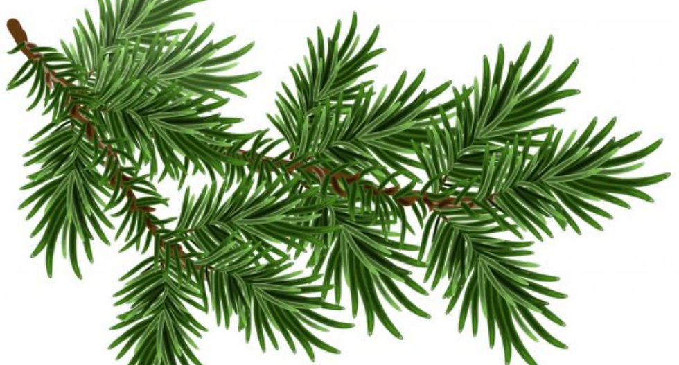ree