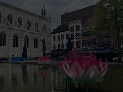 IMG_5315_edited.jpg