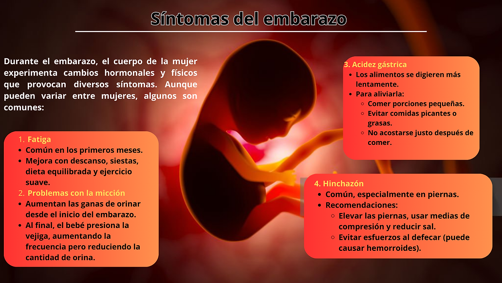 Agregar un título (1).png