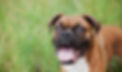 anita-peeples-5ylV-khwM9s-unsplash_edited.jpg