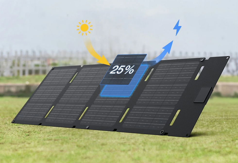 Thumbnail: EcoFlow 60W Portable Solar Panel ( USB-C Type )