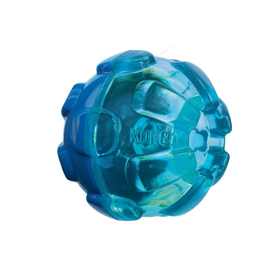 Thumbnail: KONG Rewards Various