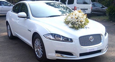 Wedding Cars in Mattancherry,Wedding Car Rental in Mattancherry,Rent a car in Mattancherry, Mattancherry wedding cars,luxury car rental Mattancherry, wedding cars Mattancherry,wedding car hire Mattancherry,exotic car rental in Mattancherry, TaxiCarMattancherry,wedding limosin Mattancherry,rent a posh car ,exotic car hire,car rent luxury