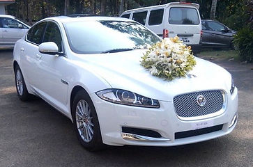 Wedding Cars in Peringome,Wedding Car Rental in Peringome,Rent a car in Peringome, Peringome wedding cars,luxury car rental Peringome, wedding cars Peringome,wedding car hire Peringome,exotic car rental in Peringome, TaxiCarPeringome,wedding limosin Peringome,rent a posh car ,exotic car hire,car rent luxury