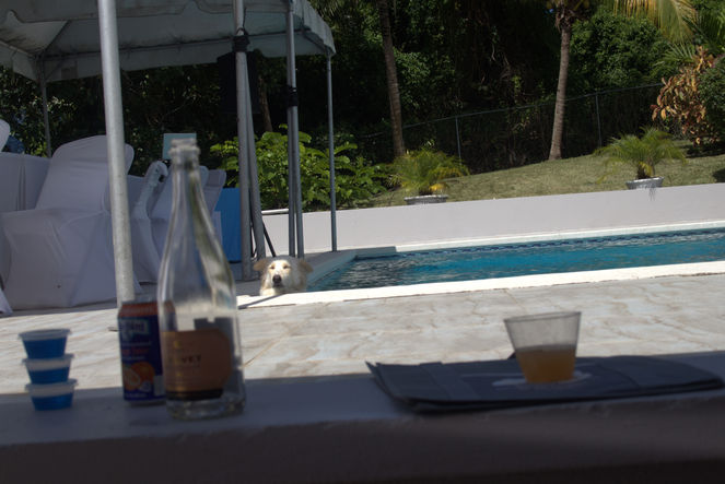 IMG_8923.jpeg