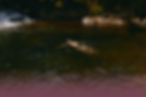 frau-im-wasser-uebergang-744554.jpg