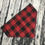 Thumbnail: Dog Bandana Everyday Collection