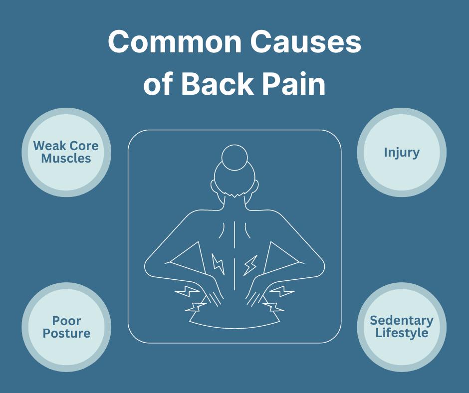 graphic of four common causes of back pain