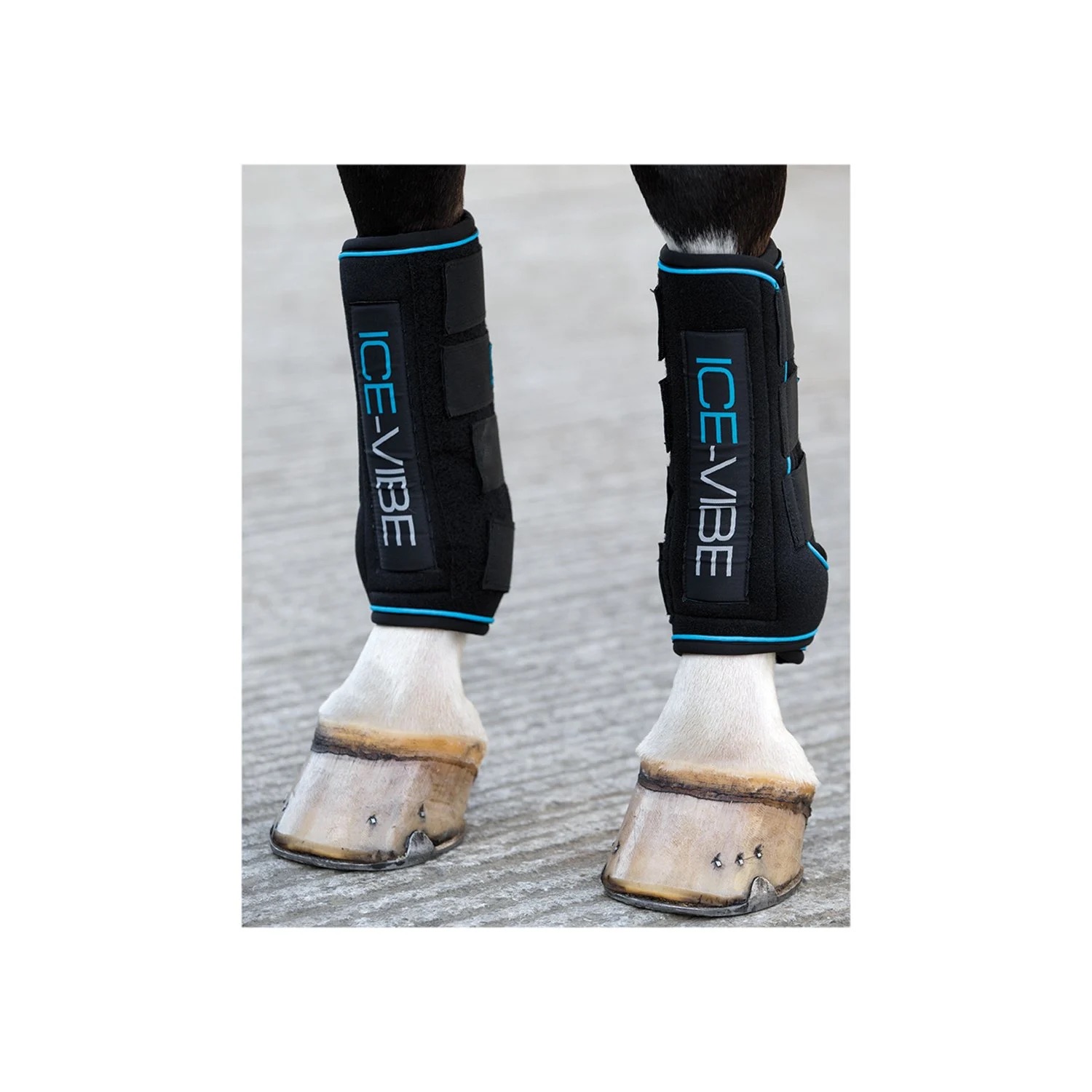 6640-horseware-ice-vibe-gamaschen-black-aqua.webp