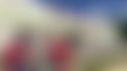 FRESHMART y Dame Un Bite se unen para llevar “MEALS AT HOME”