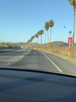Rattle Snake Canyon Road at Camp Pendleton