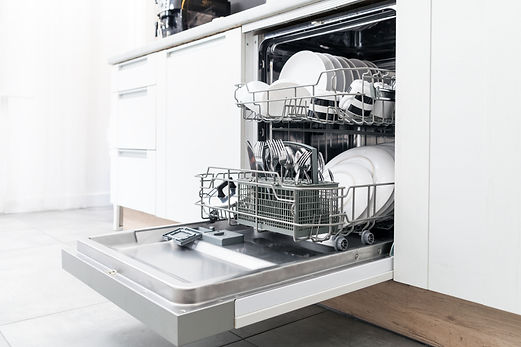 Dish Washer_edited.jpg