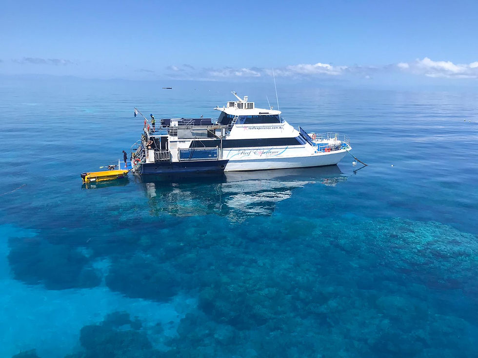 Big_Cat_Green_Island_Reef_Cruises_NorthQLD_211016-6454 1.png
