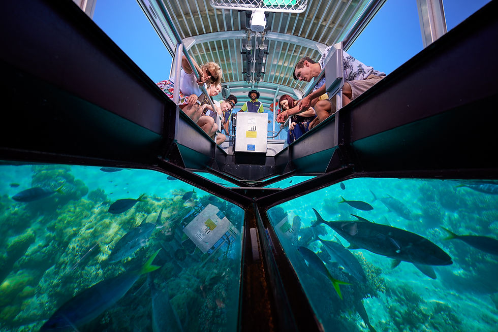 Big_Cat_Green_Island_Reef_Cruises_NorthQLD_211016-6454 1.png