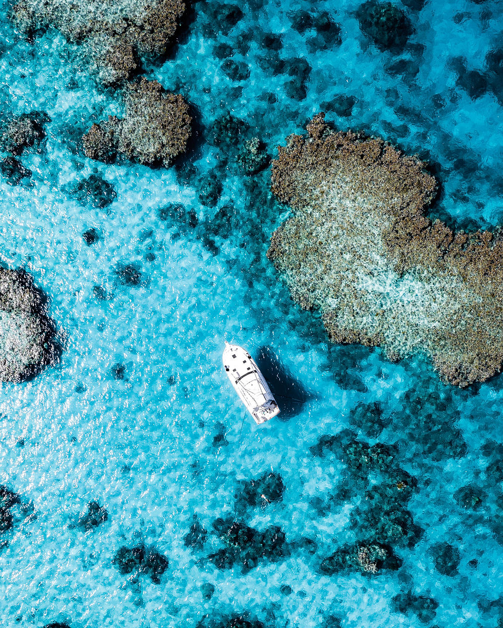 DJI_0901 1.png