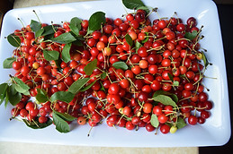 cherries2.jpg