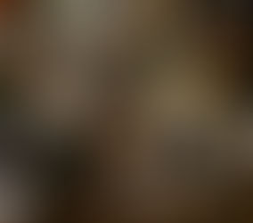 Kom een kijkje nemen in mijn online behandelmateriaal!