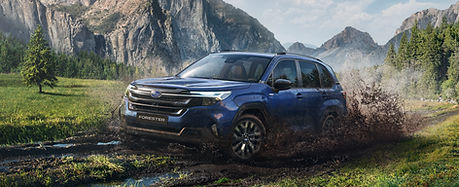 Nuova Subaru Forester da Antolini a Mestre