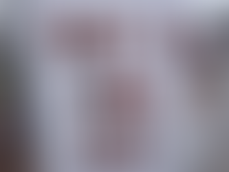 St. Lawrence Co. Legislators are considering a resolution to allow the SLC Sheriff to enter into a 287(g) agreement with ICE