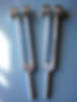 Salo tuning forks blue_edited.jpg