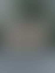 BCP in the top three local authorities for homelessness in the UK