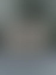 BCP in the top three local authorities for homelessness in the UK