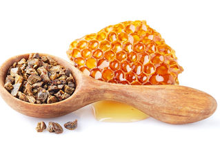 EL PROPOLIS: Antibiòtic natural i excel·lent cicatritzant