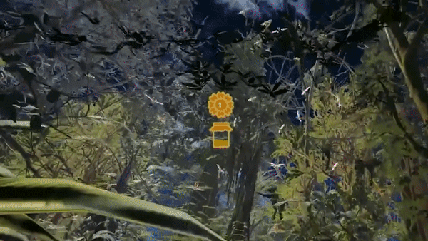flying.gif