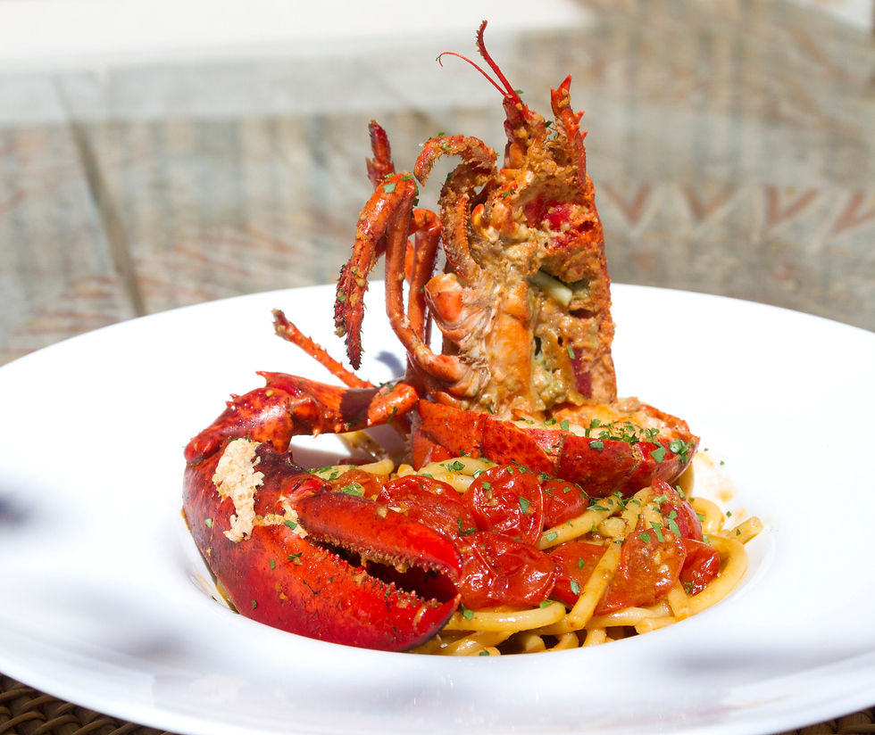 boganvante elements 4