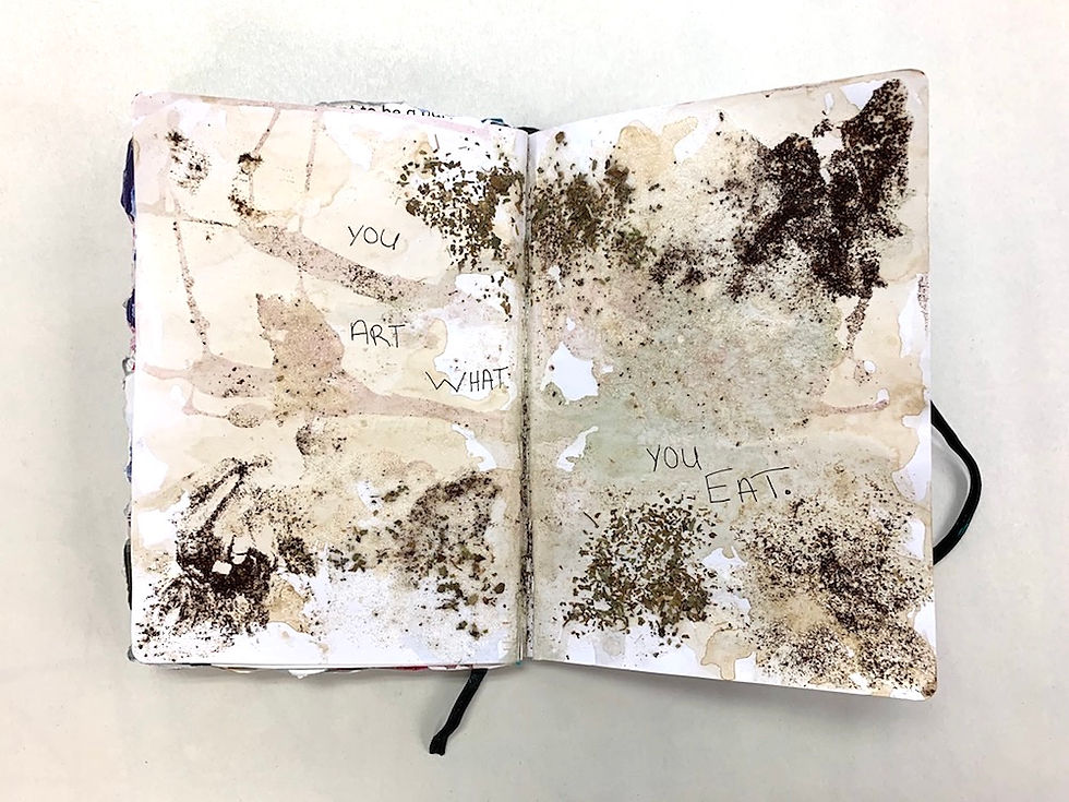 Mary Bandimere, Visual Journal