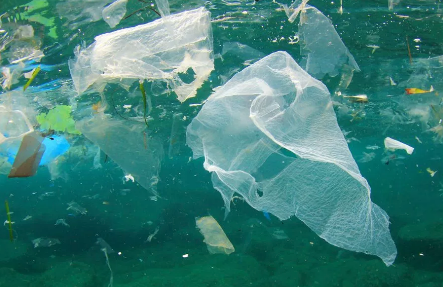 Micro Plastic Particles