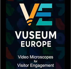 VE Logo 6