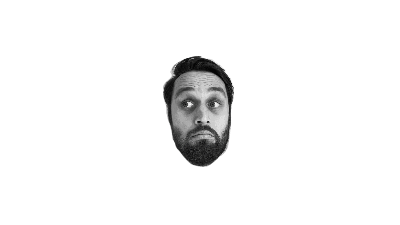 face-collage-gif_finalv2.gif