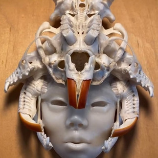 Dead things art show submission for the charity auction made by tattoo artists