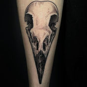 bird skull arm tattoo black and grey ottawa tattooer new moon tattooing piercing laser gatineau gatineau montreal ontario ottawa's oldest tattoo parlour