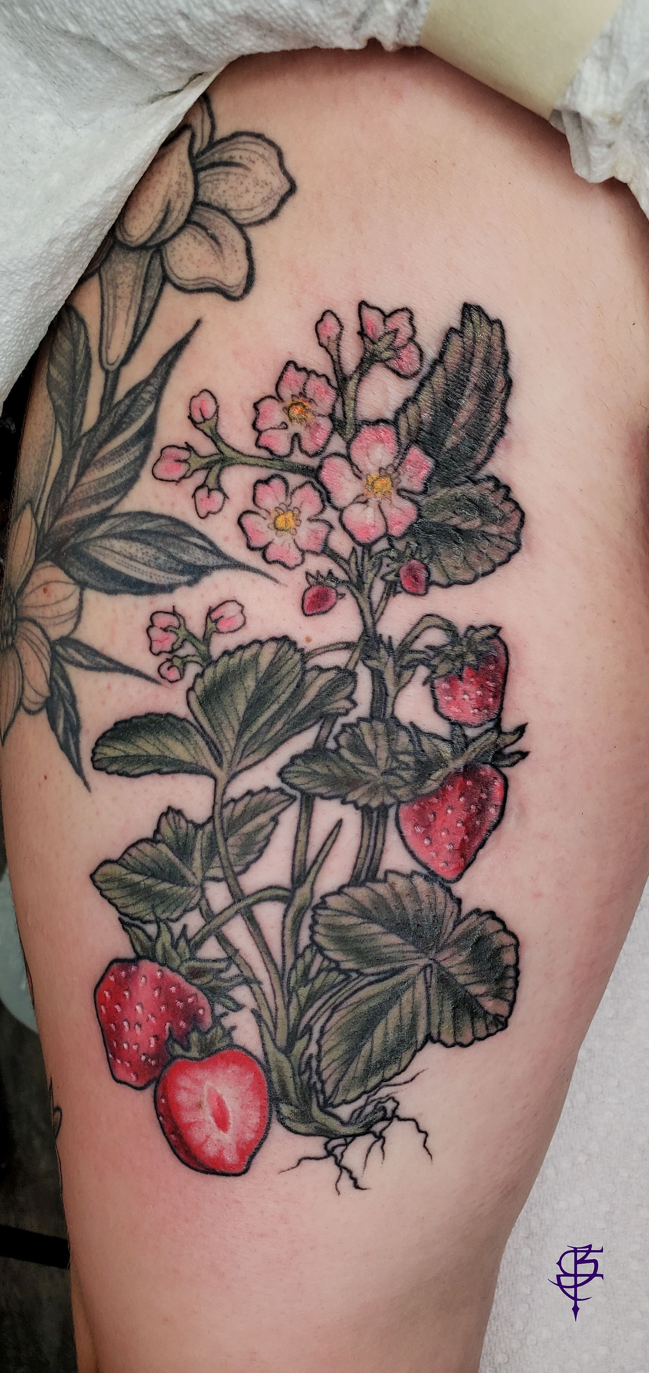 tattoo artist Beatroce New Moon Tattoo Ottawa