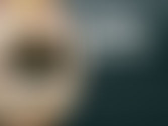 Photo of Damian Mc Grath at the ROM museum in Toronto Canada for NIX