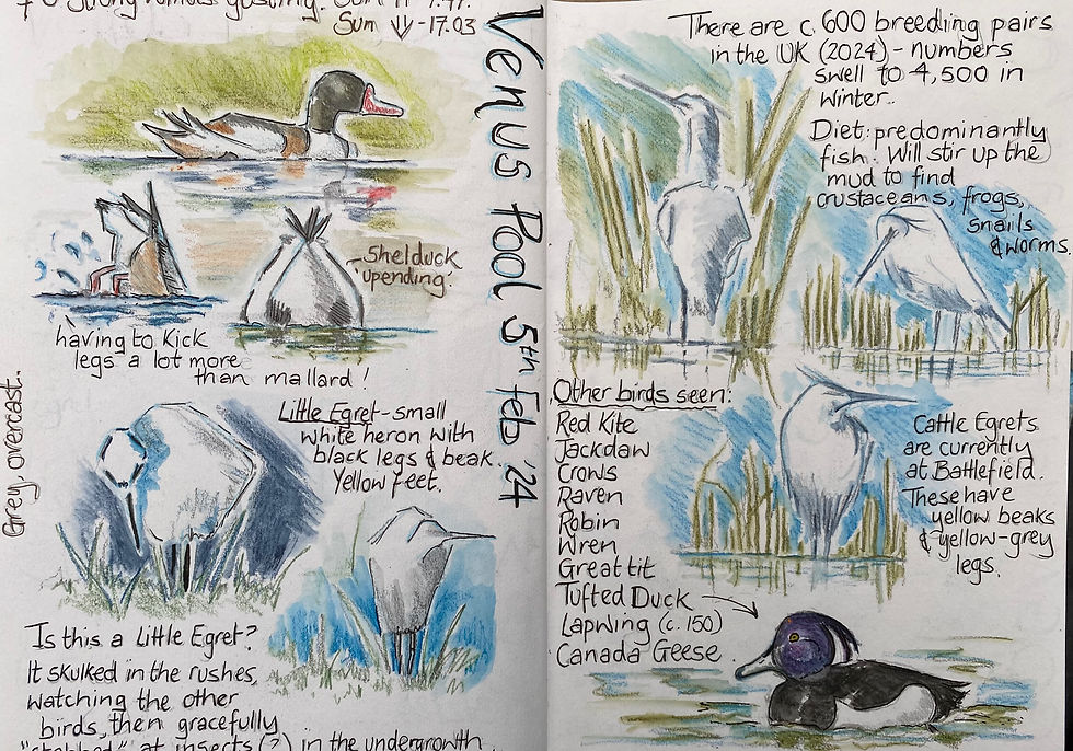 Thumbnail: Nature Journaling with GOGA