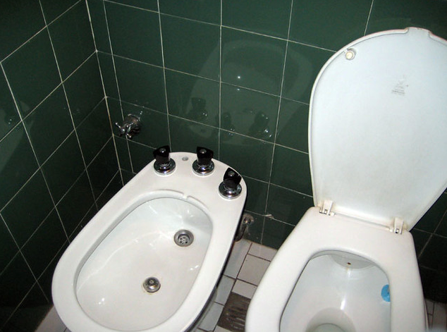 The bidet