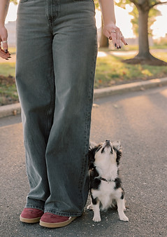 100825.DARE.DEVIL.DOG.TRAINING.BRANDING-123.jpg