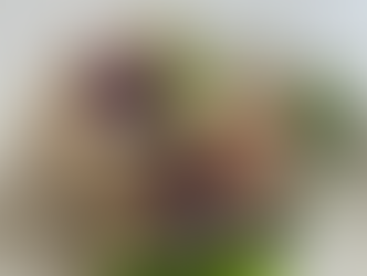 2026年5月 手作りピタパンと、ファラフェル。食卓にモロッコのエッセンスを|世田谷・ミルポア料理教室