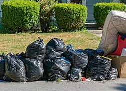 CurbsidecleanupRiverviewFlorida.jpg