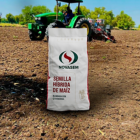 Captura de pantalla 2026-01-23 110517.png