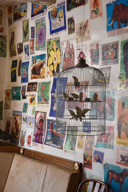 Cafe Arka Lanckorona